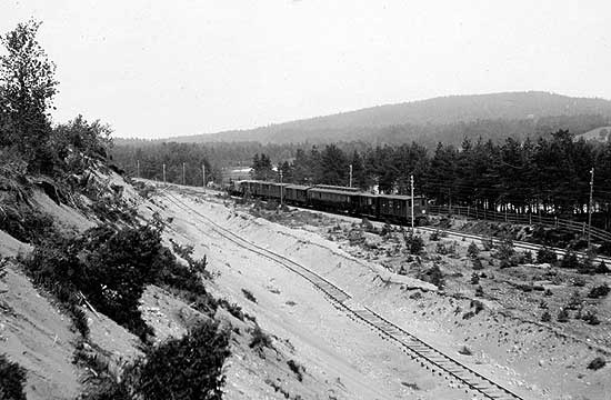 Train at the branch line Hillared - Svenljunga year 1903
