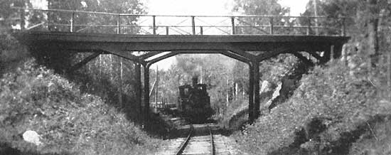 Train at Tylskogen year 1924